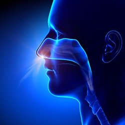 Blue illustration of person breathing through their nose