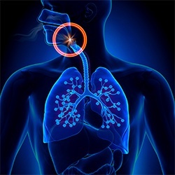 Animation of airway and lungs